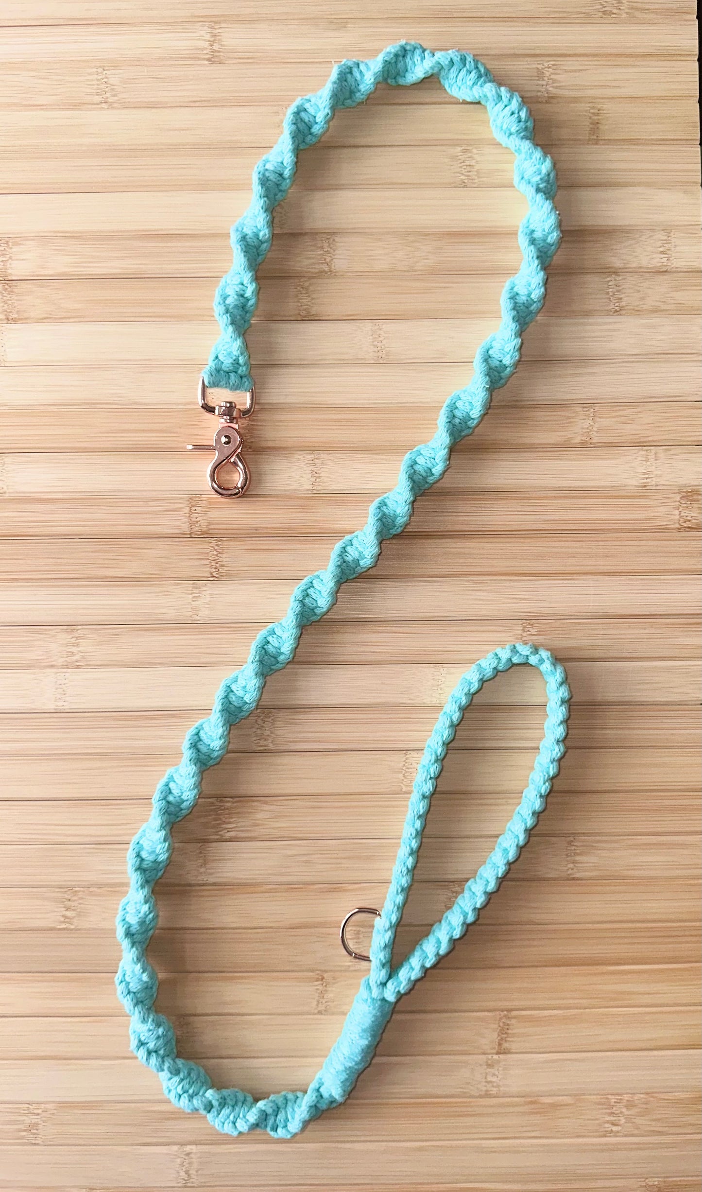 Tiffany Blue Spiral Leash